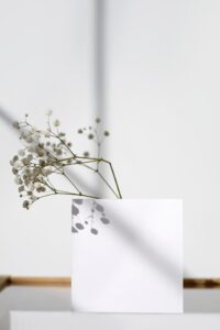 formation thérapeute formation certifiante retraite stage yin yoga breathwork